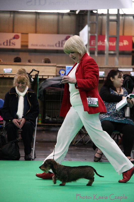 Crufts2011_2 1467.jpg